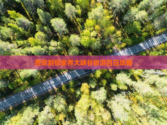 西安到张家界大峡谷旅游四日攻略