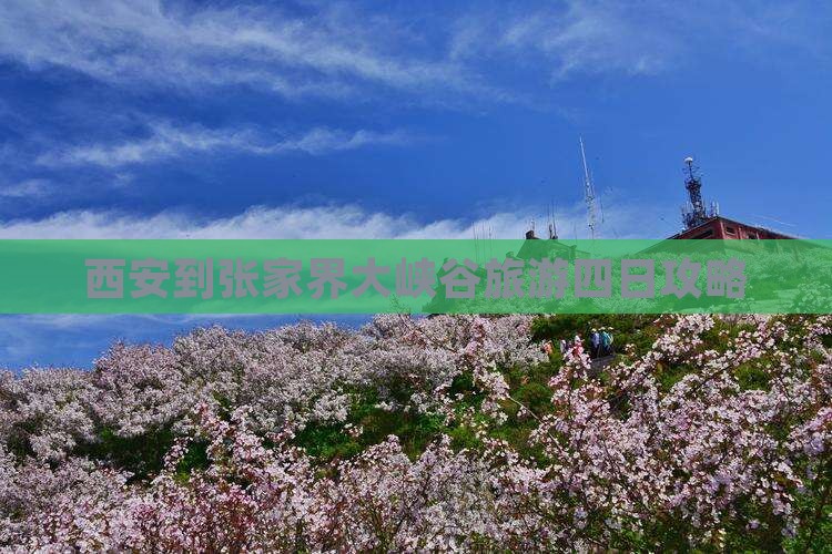 西安到张家界大峡谷旅游四日攻略