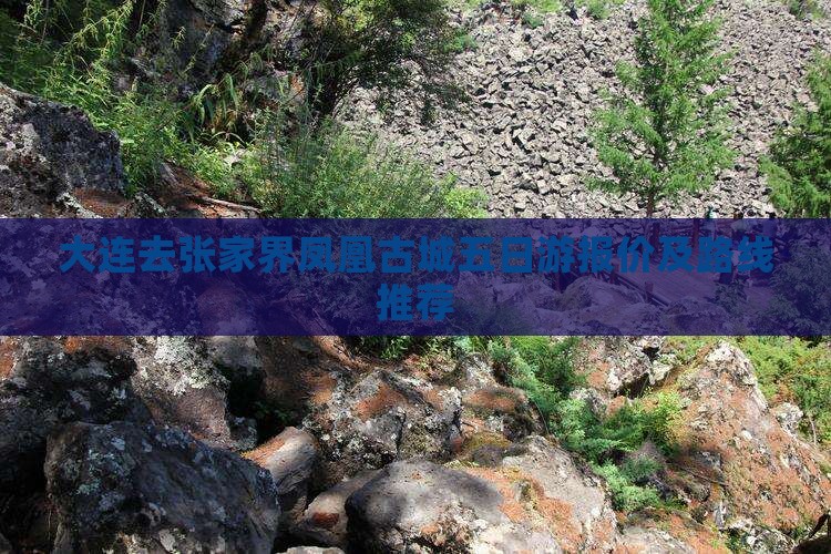 大连去张家界凤凰古城五日游报价及路线推荐