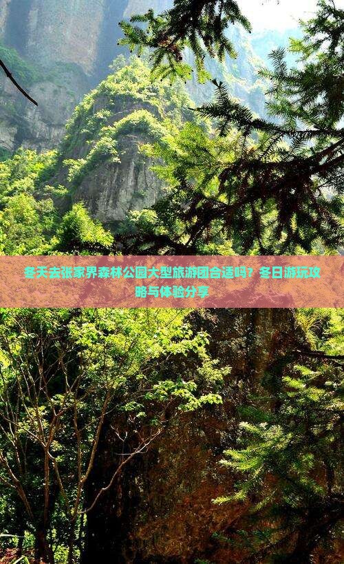 冬天去张家界森林公园大型旅游团合适吗？冬日游玩攻略与体验分享