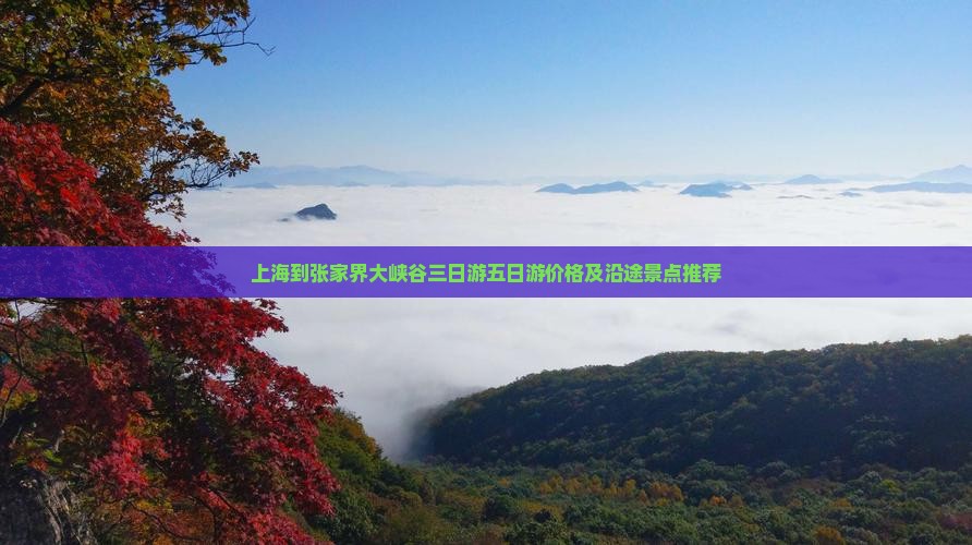 上海到张家界大峡谷三日游五日游价格及沿途景点推荐