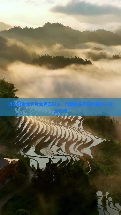 淮安到张家界袁家界五日游：自驾旅游团报价及出行企业推荐