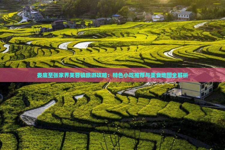娄底至张家界芙蓉镇旅游攻略：特色小吃推荐与美食地图全解析