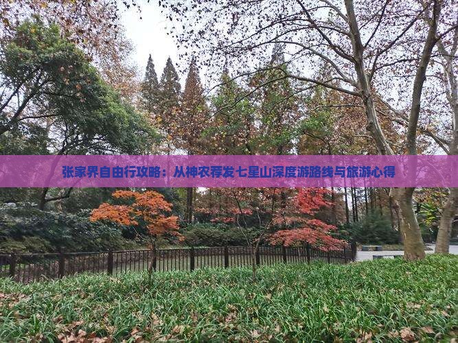 张家界自由行攻略：从神农荐发七星山深度游路线与旅游心得