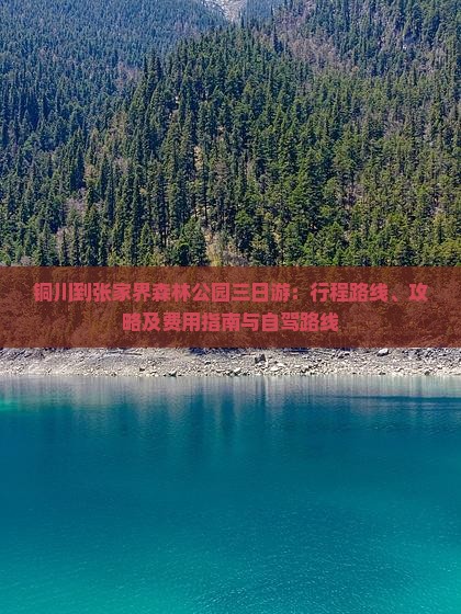 铜川到张家界森林公园三日游：行程路线、攻略及费用指南与自驾路线