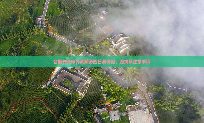 合肥去张家界武陵源四日游价格、路线及注意事项