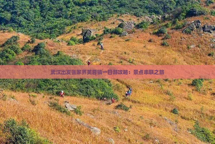 武汉出发张家界芙蓉镇一日游攻略：景点串联之旅