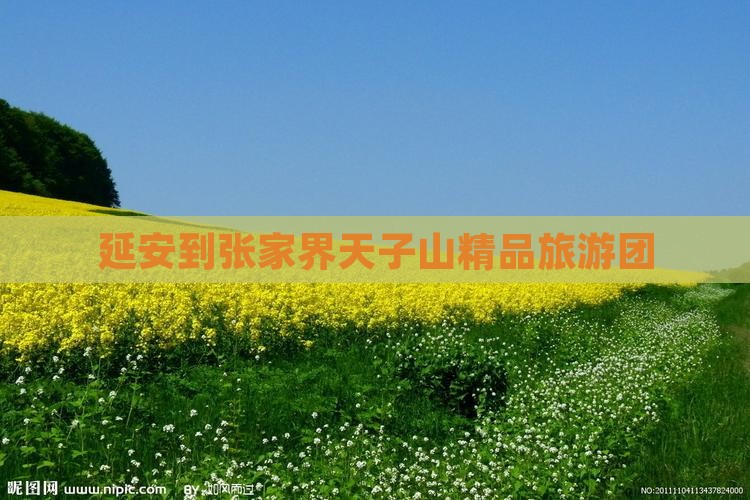 延安到张家界天子山精品旅游团