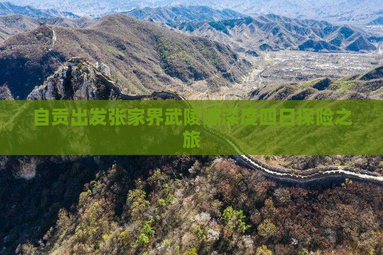 自贡出发张家界武陵源深度四日探险之旅