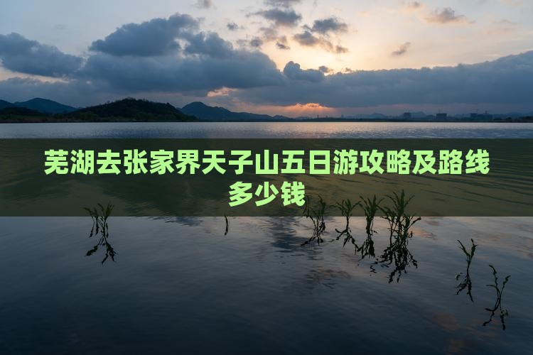 芜湖去张家界天子山五日游攻略及路线多少钱