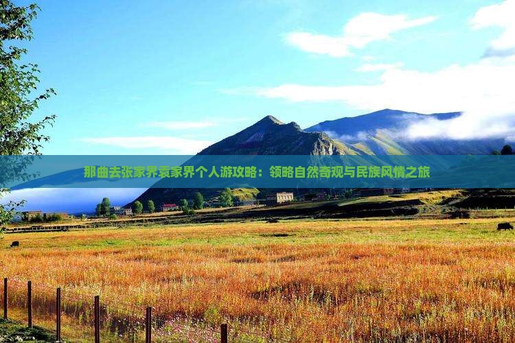 那曲去张家界袁家界个人游攻略：领略自然奇观与民族风情之旅
