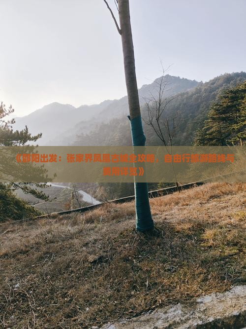《邵阳出发：张家界凤凰古城全攻略，自由行旅游路线与费用详览》
