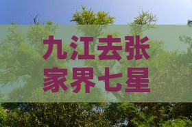 九江去张家界七星山四日游路线及费用