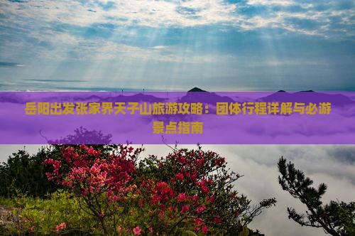 岳阳出发张家界天子山旅游攻略：团体行程详解与必游景点指南