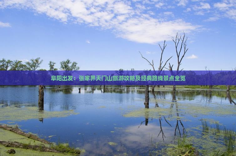阜阳出发：张家界天门山旅游攻略及经典路线景点全览