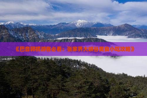 《巴音郭楞游客必看：张家界大峡谷美食小吃攻略》