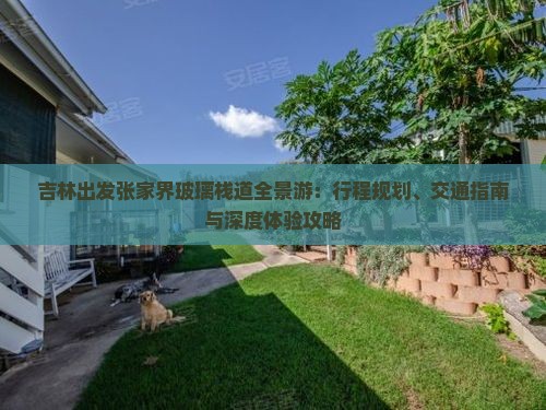 吉林出发张家界玻璃栈道全景游：行程规划、交通指南与深度体验攻略