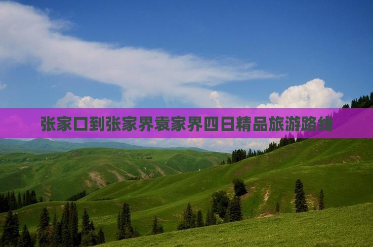 张家口到张家界袁家界四日精品旅游路线