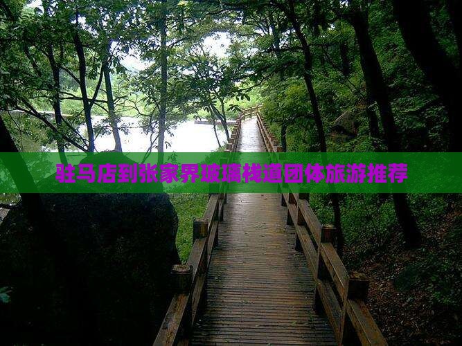 驻马店到张家界玻璃栈道团体旅游推荐