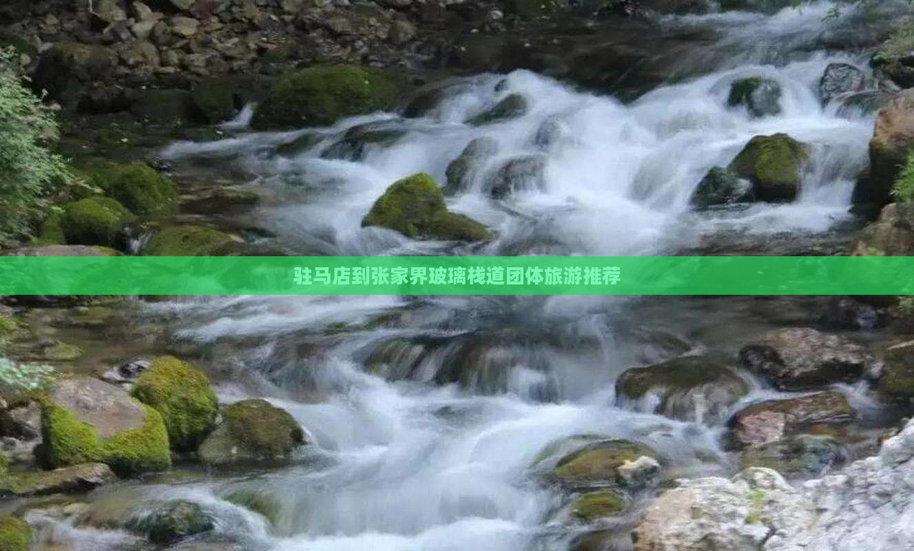 驻马店到张家界玻璃栈道团体旅游推荐