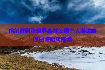 哈尔滨到张家界森林公园个人游攻略四日游路线推荐