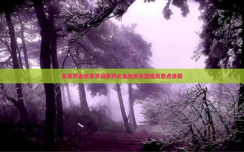 张家界去张家界袁家界必去地乘车路线及景点讲解
