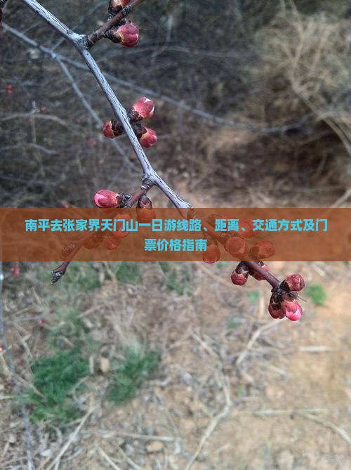 南平去张家界天门山一日游线路、距离、交通方式及门票价格指南