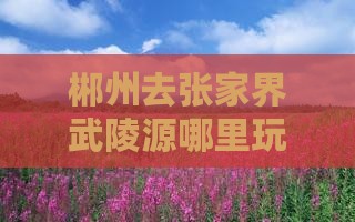 郴州去张家界武陵源哪里玩最方便三日游报价