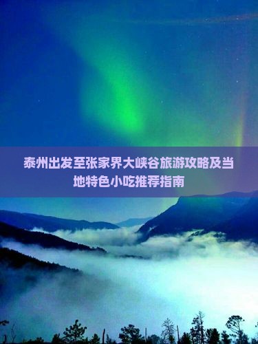 泰州出发至张家界大峡谷旅游攻略及当地特色小吃推荐指南