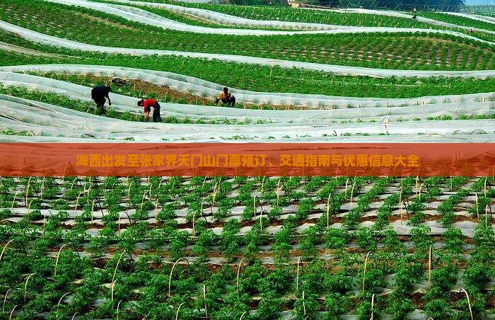 海西出发至张家界天门山门票预订、交通指南与优惠信息大全