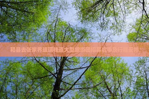 和县去张家界玻璃栈道大型旅游团招募启事及行程安排
