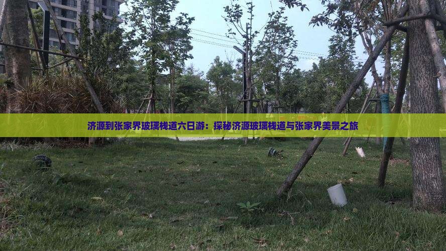 济源到张家界玻璃栈道六日游：探秘济源玻璃栈道与张家界美景之旅