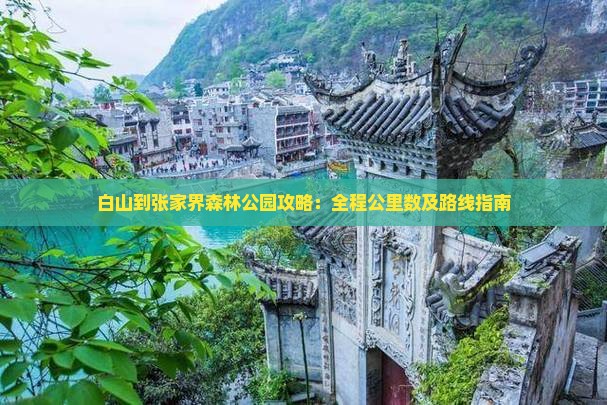 白山到张家界森林公园攻略：全程公里数及路线指南