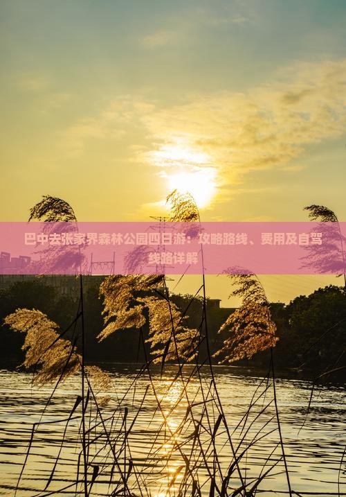 巴中去张家界森林公园四日游：攻略路线、费用及自驾线路详解