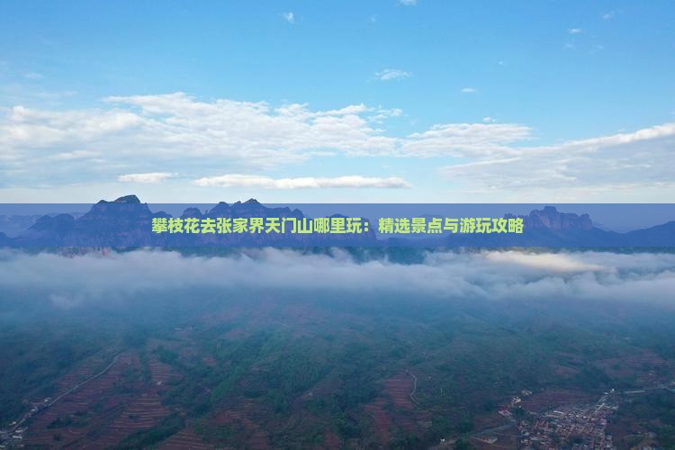 攀枝花去张家界天门山哪里玩：精选景点与游玩攻略