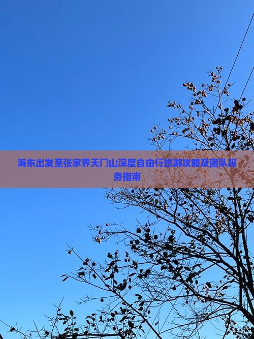 海东出发至张家界天门山深度自由行旅游攻略及团队服务指南