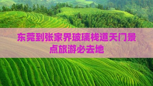 东莞到张家界玻璃栈道天门景点旅游必去地