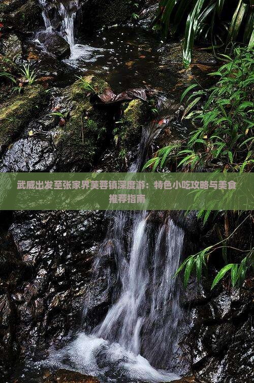 武威出发至张家界芙蓉镇深度游：特色小吃攻略与美食推荐指南