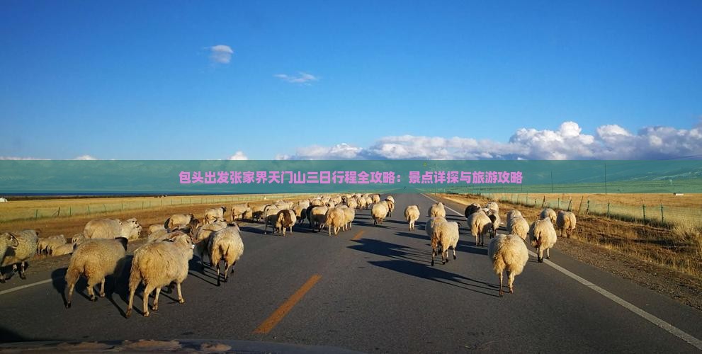包头出发张家界天门山三日行程全攻略：景点详探与旅游攻略