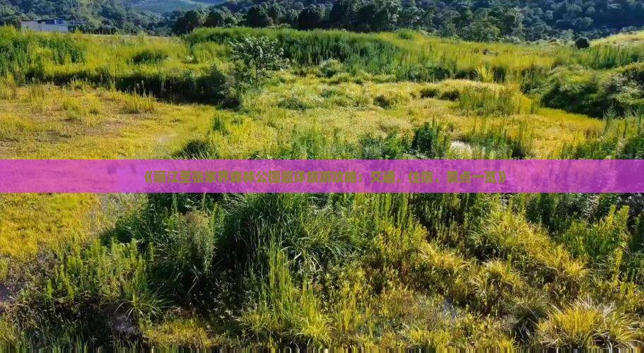 《丽江至张家界森林公园超详旅游攻略：交通、住宿、景点一览》