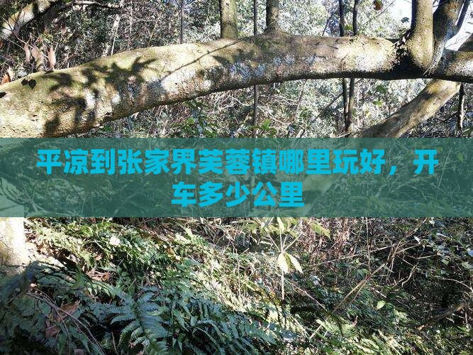 平凉到张家界芙蓉镇哪里玩好，开车多少公里