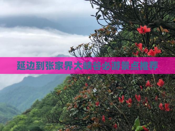 延边到张家界大峡谷必游景点推荐