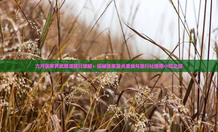六月张家界武陵源旅行攻略：探秘张家景点美食与旅行社推荐小吃之旅