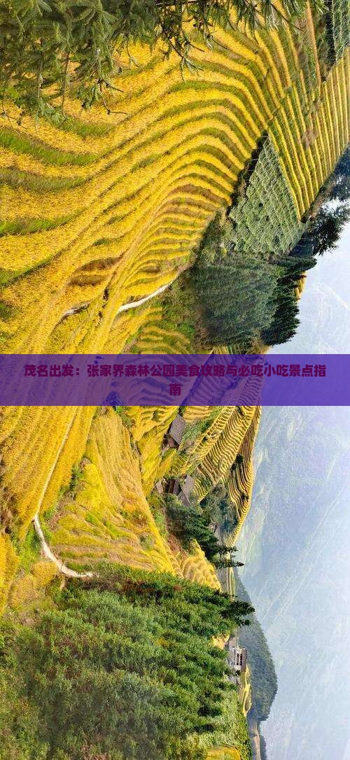 茂名出发：张家界森林公园美食攻略与必吃小吃景点指南