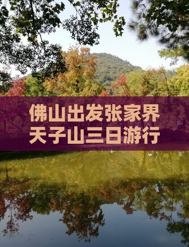 佛山出发张家界天子山三日游行程推荐
