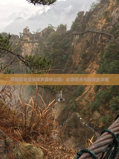 探秘聊城至张家界森林公园：必游景点与路线全攻略
