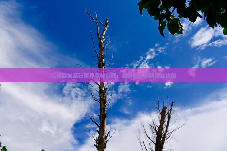 探秘聊城至张家界森林公园：必游景点与路线全攻略