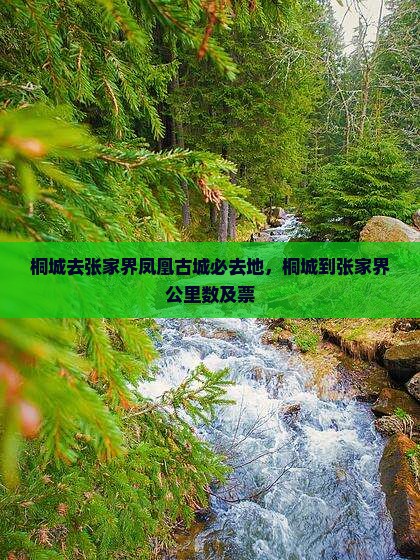 桐城去张家界凤凰古城必去地，桐城到张家界公里数及票