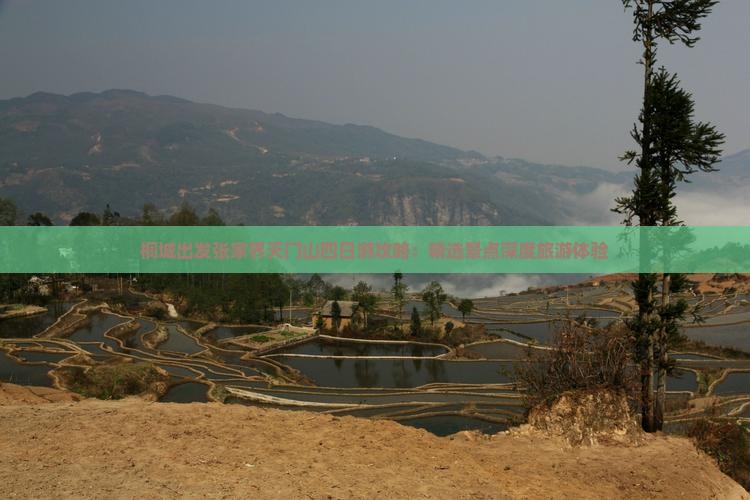 桐城出发张家界天门山四日游攻略：精选景点深度旅游体验