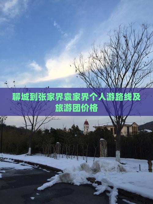 聊城到张家界袁家界个人游路线及旅游团价格